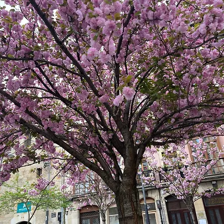 El Botxito Appartement