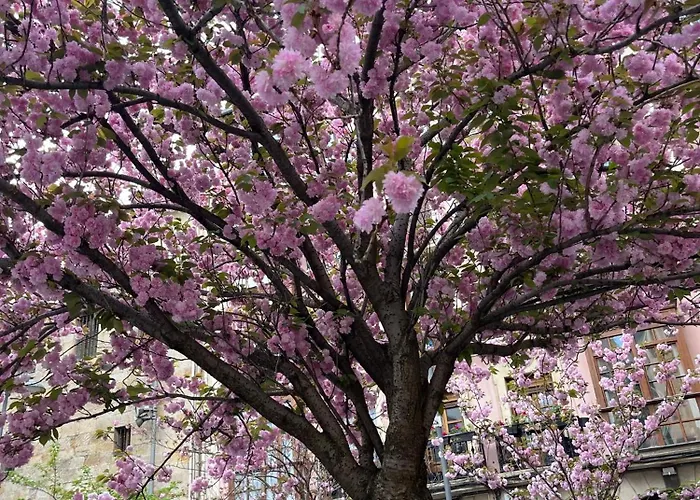 El Botxito Apartment