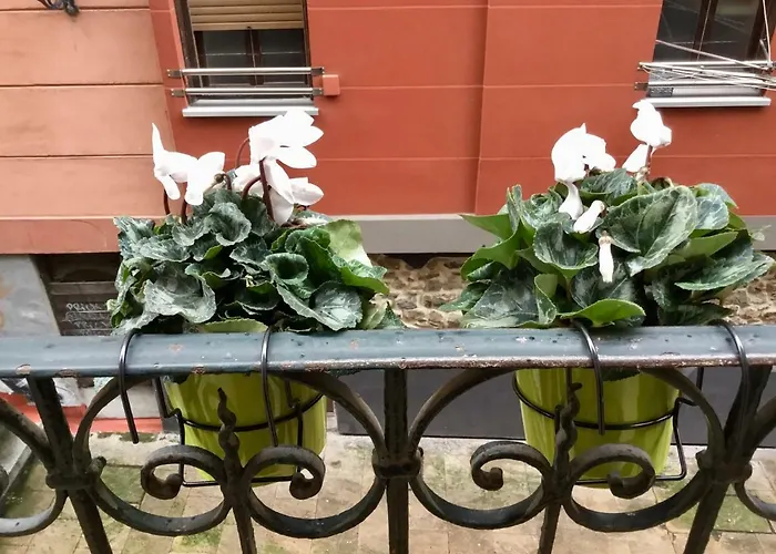 El Botxito Apartment